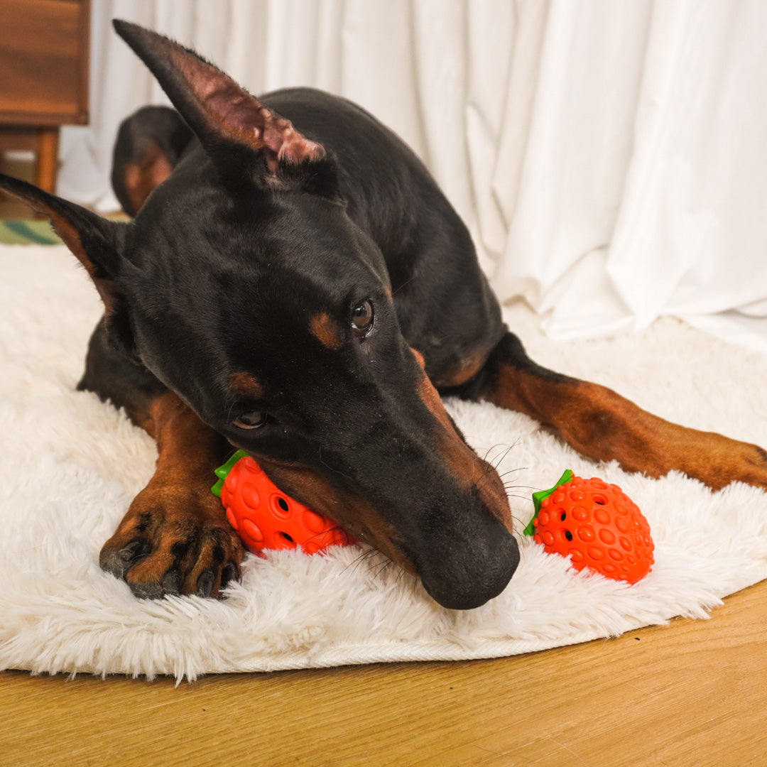 Strawberry Puzzle Dog Toy – Treat Dispensing & Teething Chew