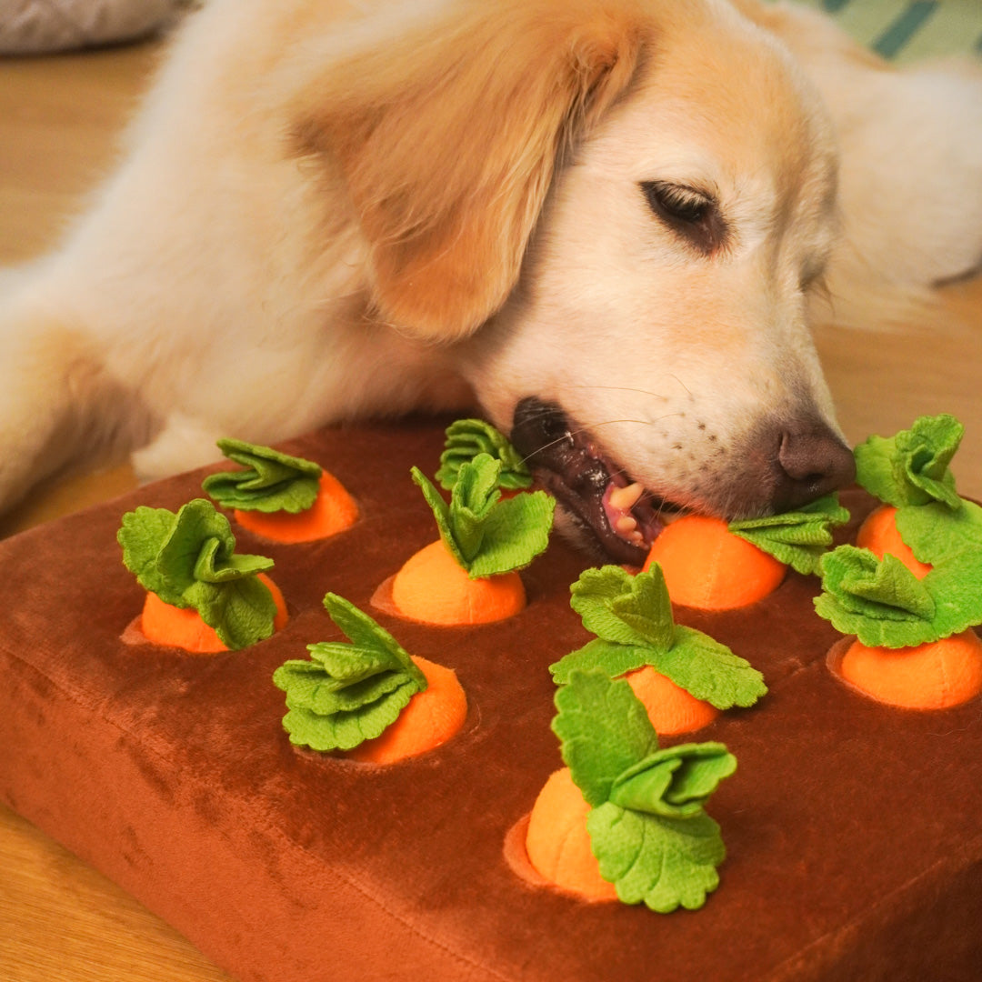 Carrot Snuffle Mat Dog Toy – Squeaky & Plush Puzzle 2-in-1