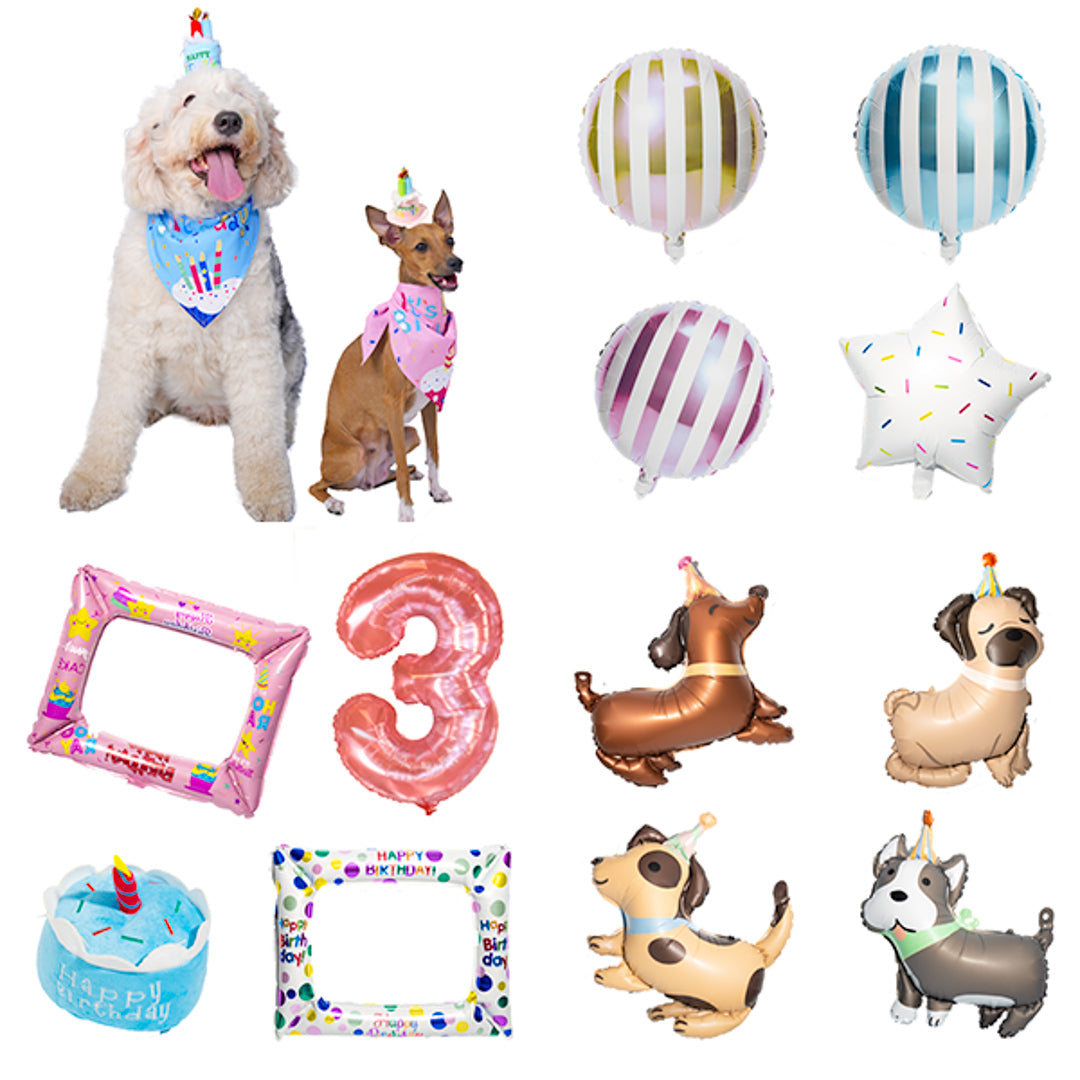 Doggo Birthday Celebration Box