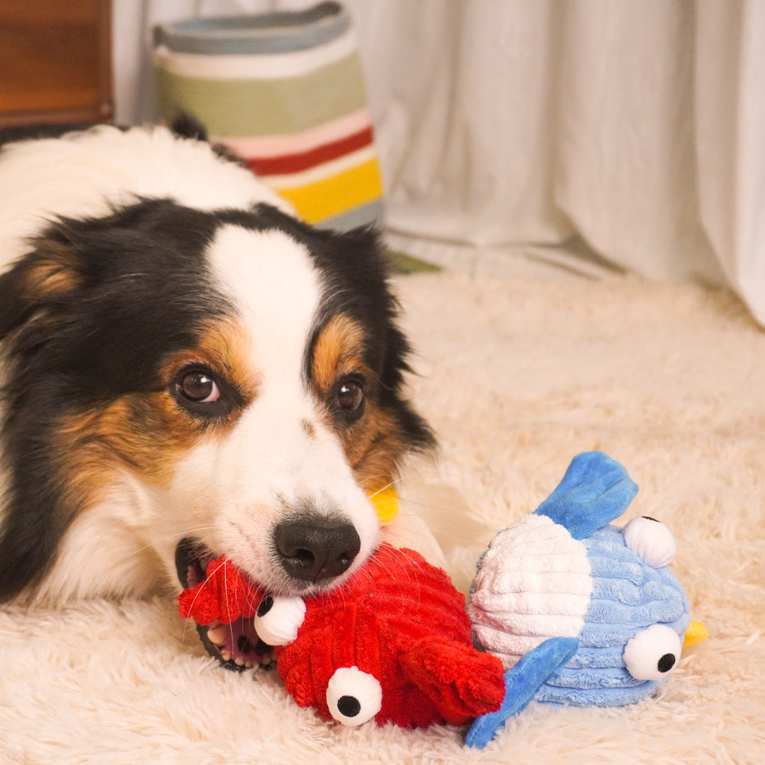 Sea Animal Squeaky Dog Toys – Shark, Crab & Fish Plush Set