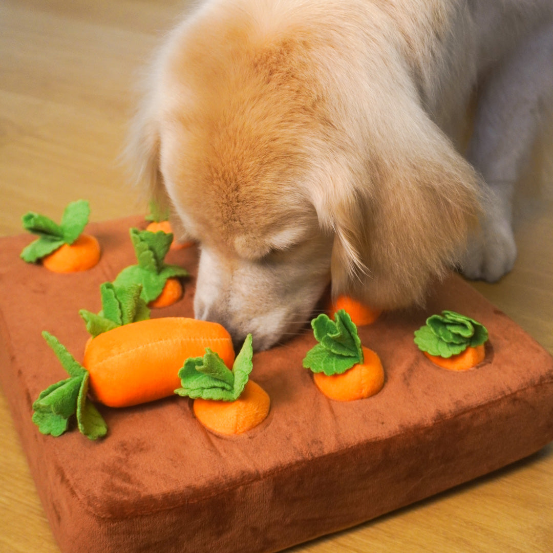 Dailyhoo Squeaky Carrot Snuffle Mat for Dogs Plush Puzzle Toys 2 in 1