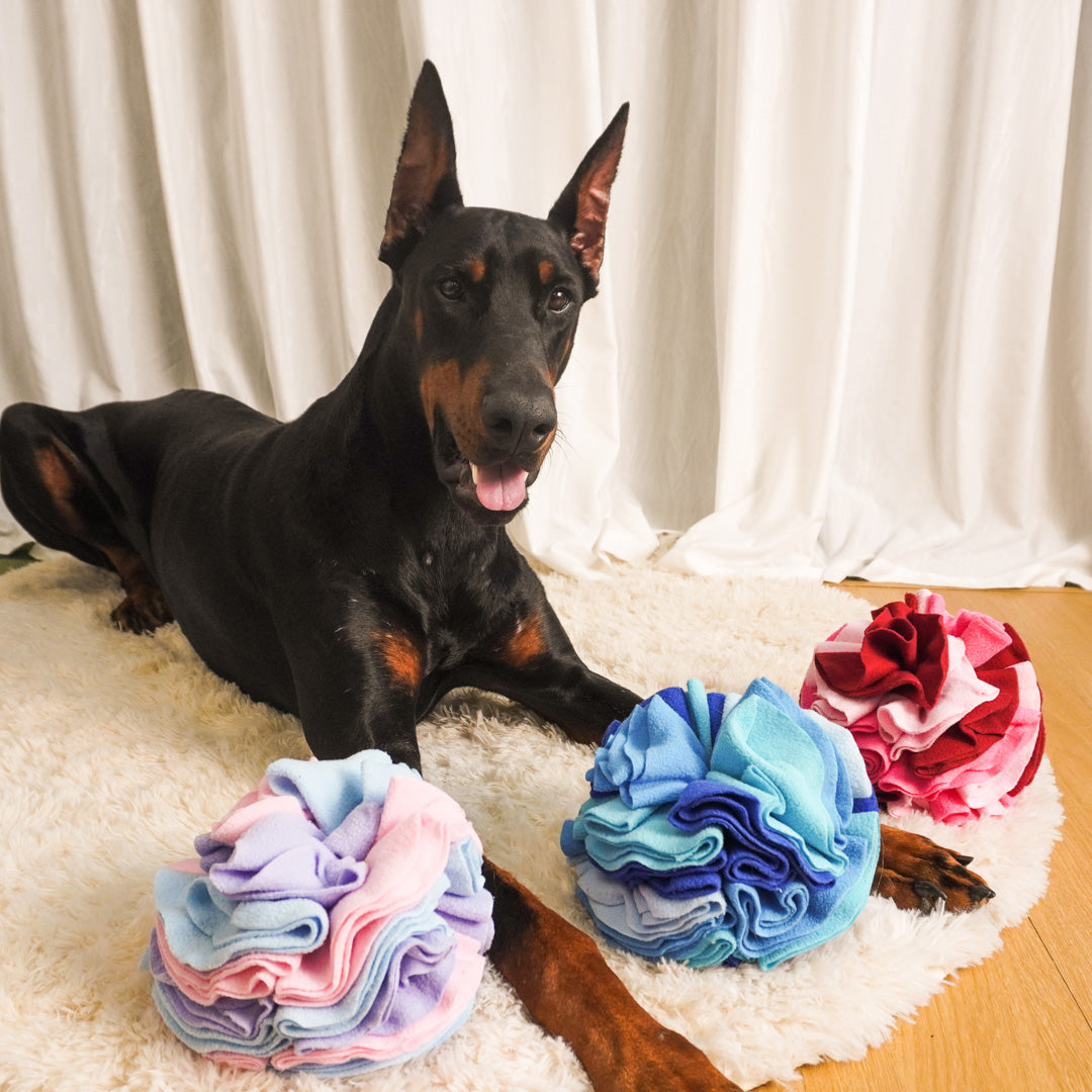 Dailyhoo Hide and Seek Snuffle Ball helps dog