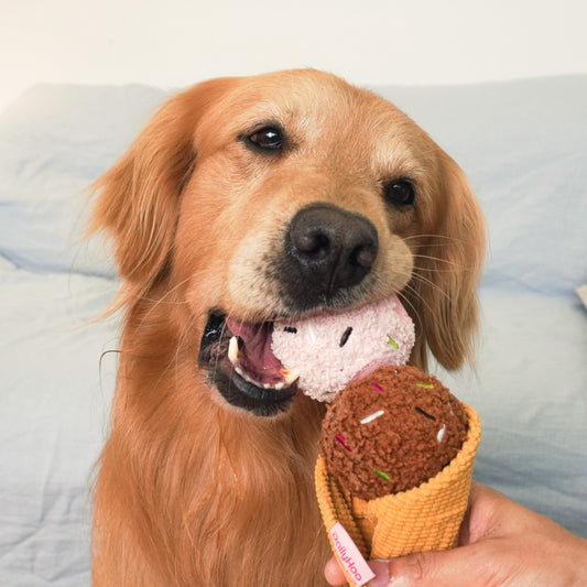 Ice Cream Plush Dog Toy 3-in-1 Chew, Squeaky & Treat Hiding Interactive Toy