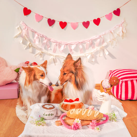 Picnic Pals Plush Toy Collection – Interactive Enrichment Plush Dog Toys