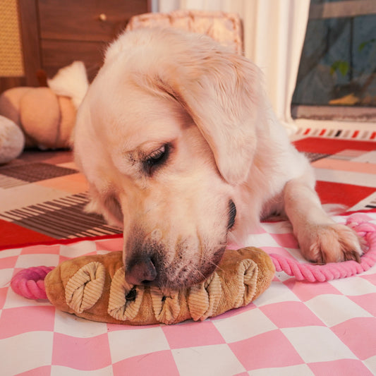 Tuggy Baguette Plush Dog Toy – Chew, Crinkle & Rope Interactive Toy