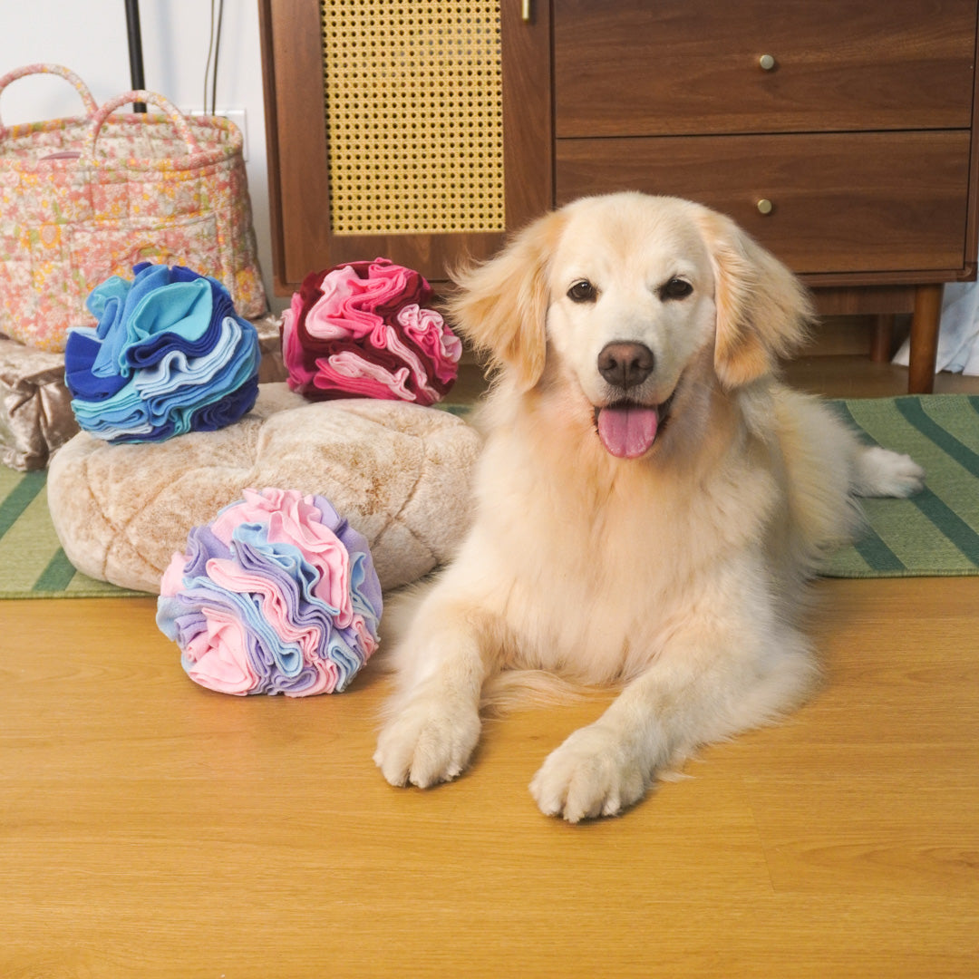 Snuffle Ball Dog Toy – Multi-Color Hide & Seek Puzzle Ball