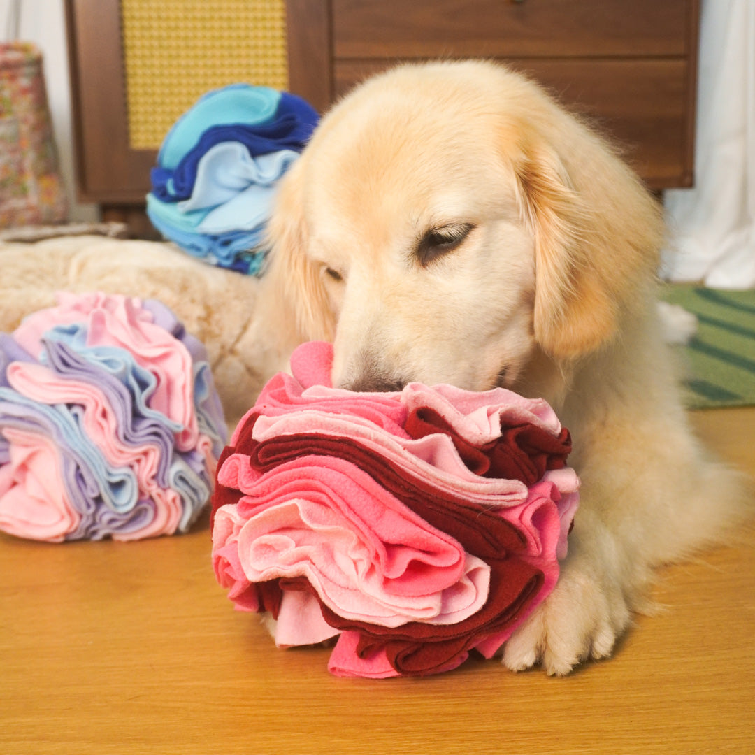 dailyhoo Hide and Seek Snuffle Ball Dog Toys