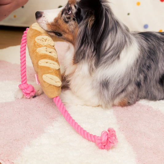 Tuggy Baguette Plush Dog Toy – Chew, Crinkle & Rope Interactive Toy