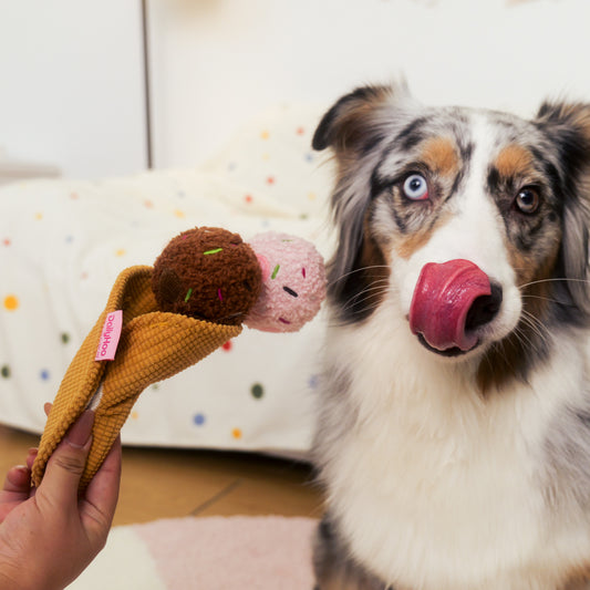 Daily Scoop Plush Dog Toy 3-in-1 Chew, Squeaky & Treat Hiding Interactive Toy