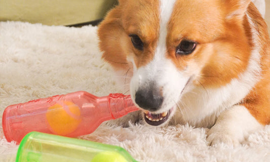 How to Pick the Right Puzzle Toy for Your Dog: A Guide for Busy Pet Parents