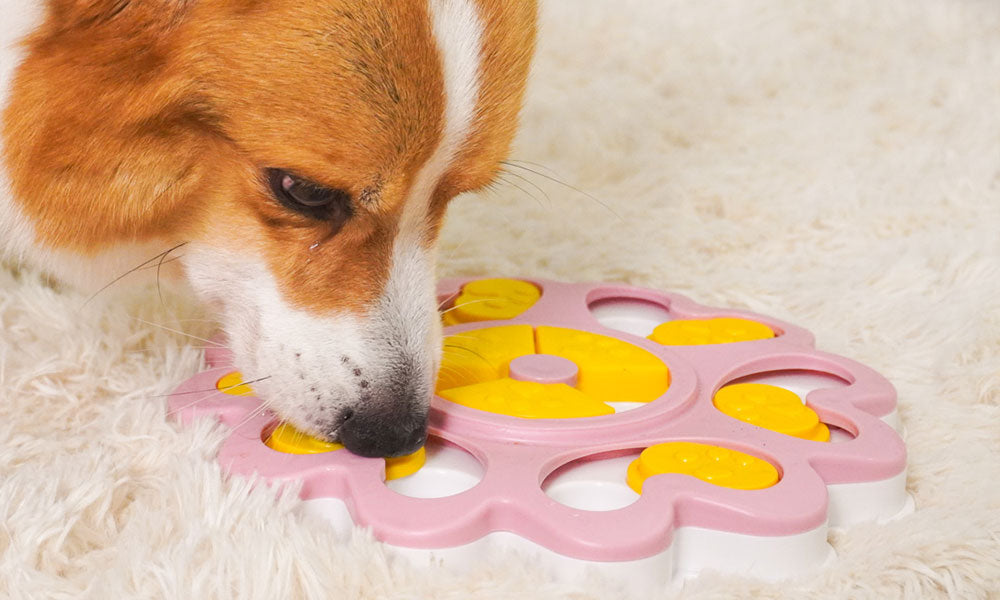 Unlock Playtime and Engagement with Dailyhoo Interactive Dog Toys