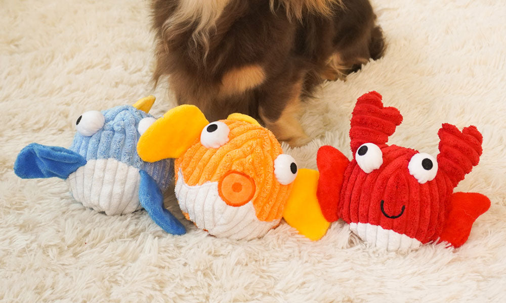 Common Mistakes to Avoid When Using Interactive Dog Toys