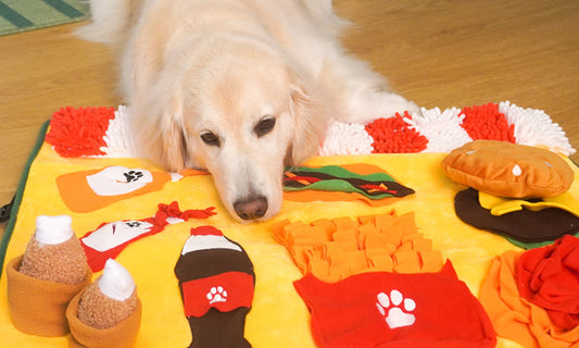 Fetch Frenzy: Keeping Smart Dogs Engaged When You're Not Home
