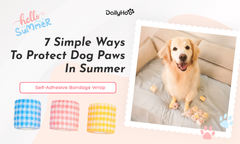 How to Protect Dog Paws From Hot Pavement in Summer
