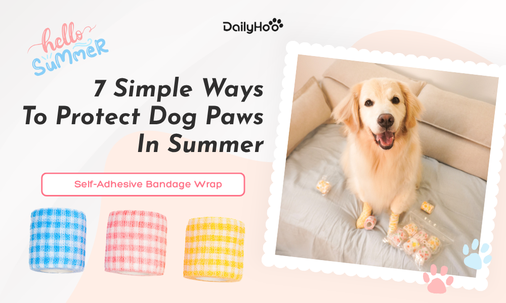 How to Protect Dog Paws From Hot Pavement in Summer