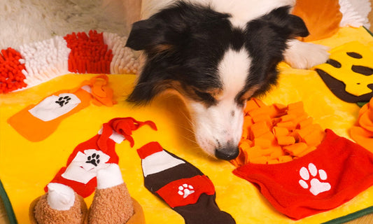 How to Select Smart Pet Toys That Actually Work: What to Know Before You Buy