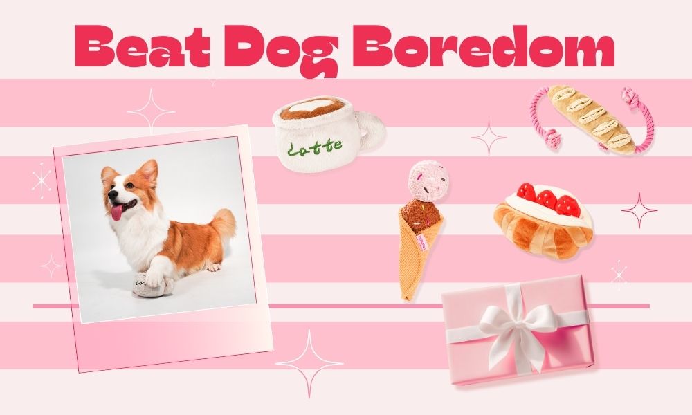 Winter Woes? How to Beat Dog Boredom with Interactive Play