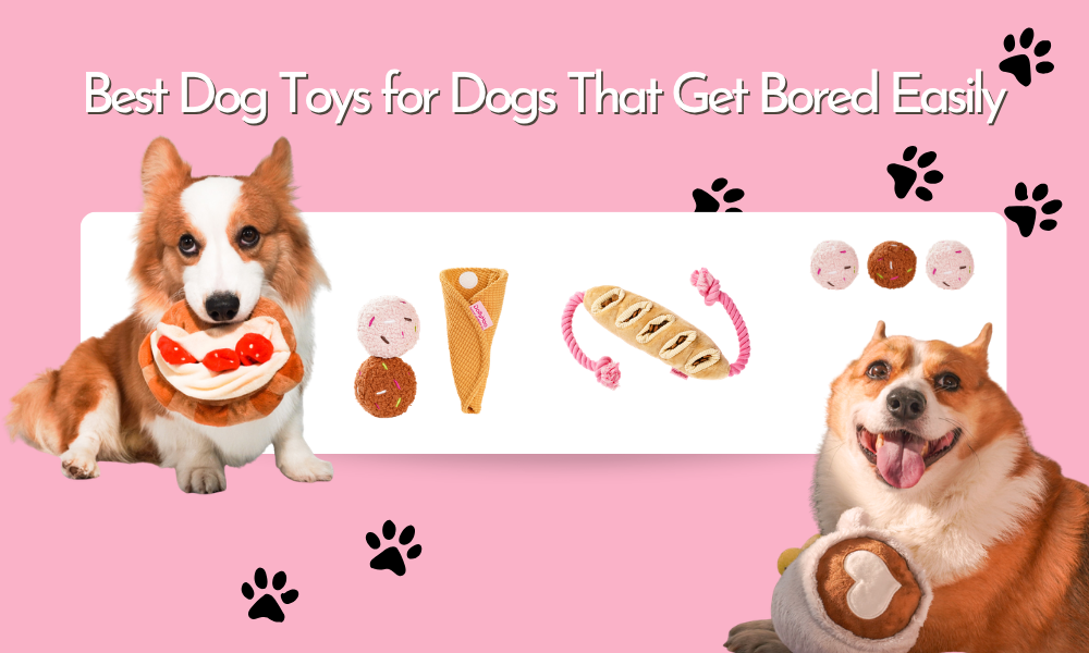 Best Dog Toys for Dogs That Get Bored Easily: 7 Toy Types That Actually Help