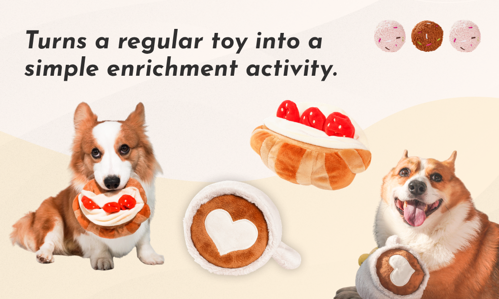 Best Dog Toys for Dogs That Get Bored Easily: 7 Toy Types That Actually Help