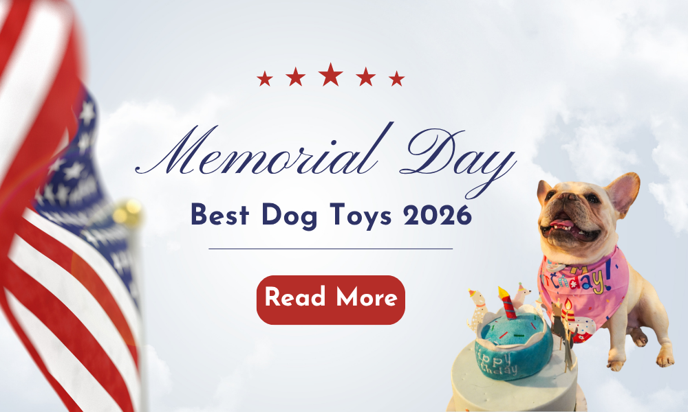Best Memorial Day Dog Toy Sales for Summer 2026