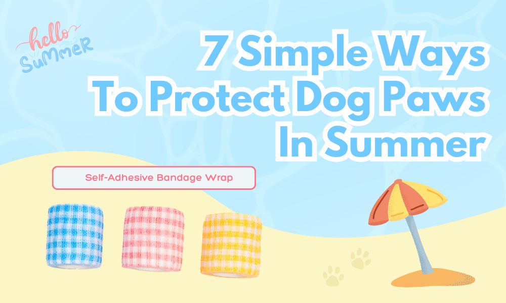 How to Protect Dog Paws From Hot Pavement in Summer