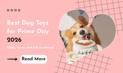 Prime Day Dog Toy Guide: Find the Perfect Match for Your Pup