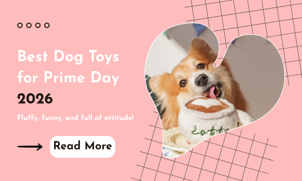 Prime Day Dog Toy Guide: Find the Perfect Match for Your Pup