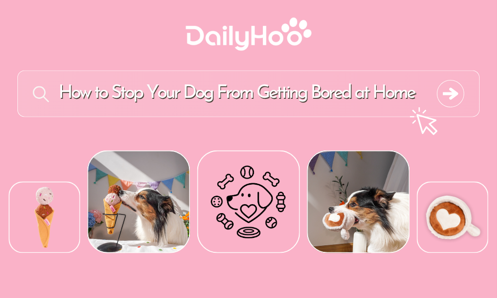 How to Stop Your Dog From Getting Bored at Home: 9 Easy Enrichment Ideas