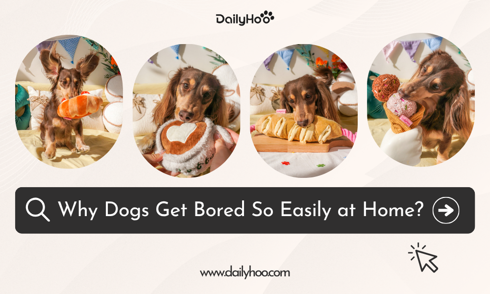 How to Stop Your Dog From Getting Bored at Home: 9 Easy Enrichment Ideas