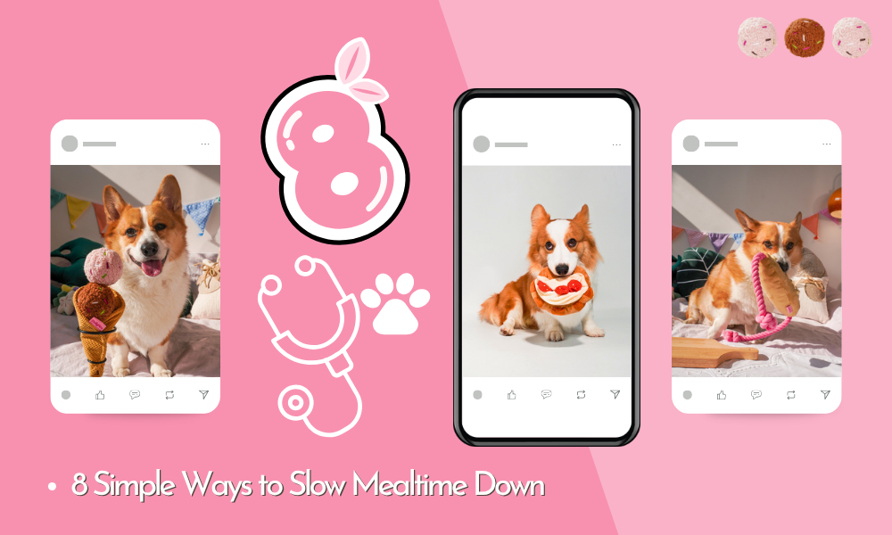 How to Stop My Dog From Eating Too Fast: 8 Simple Ways to Slow Mealtime Down