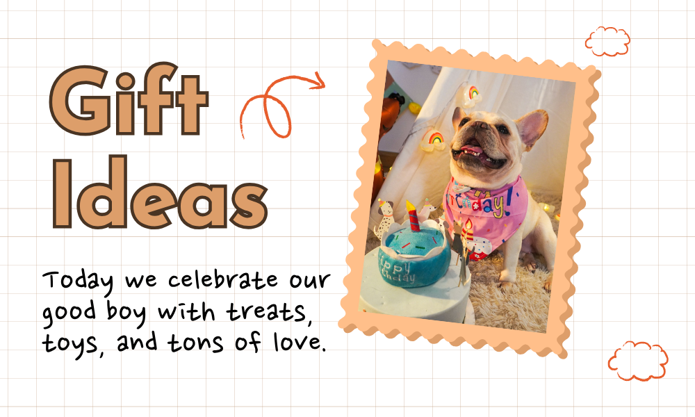 Why Celebrating Your Dog Matters More Than You Think