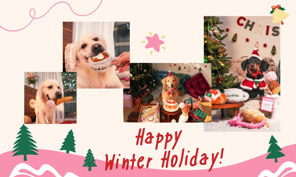 Keep Your Pup Happy & Busy This Winter: Dailyhoo’s Holiday Gift Guide