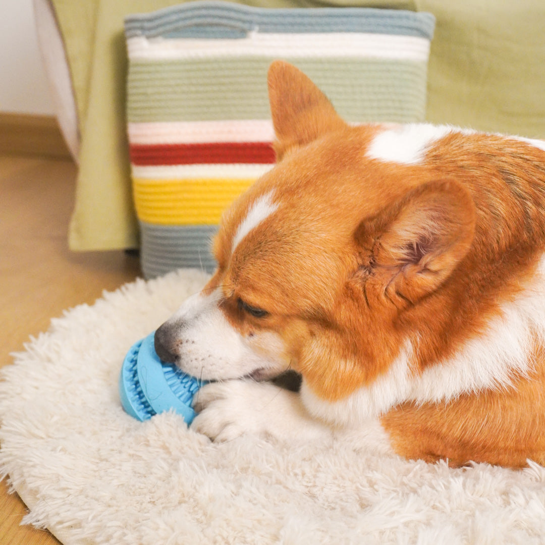 Puzzle Ball Dog Toy – Treat Dispensing Chew Toy for Puppie
