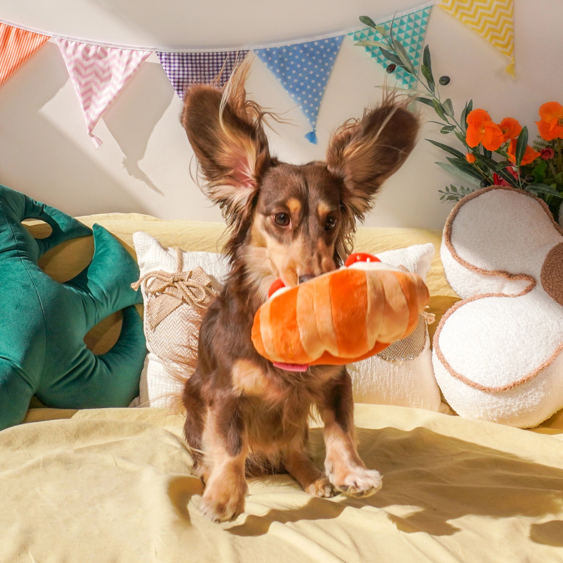 Picnic Pals Plush Toy Collection – Interactive Enrichment Plush Dog Toys