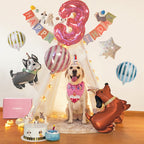 Doggo’s Birthday Paw-ty Box
