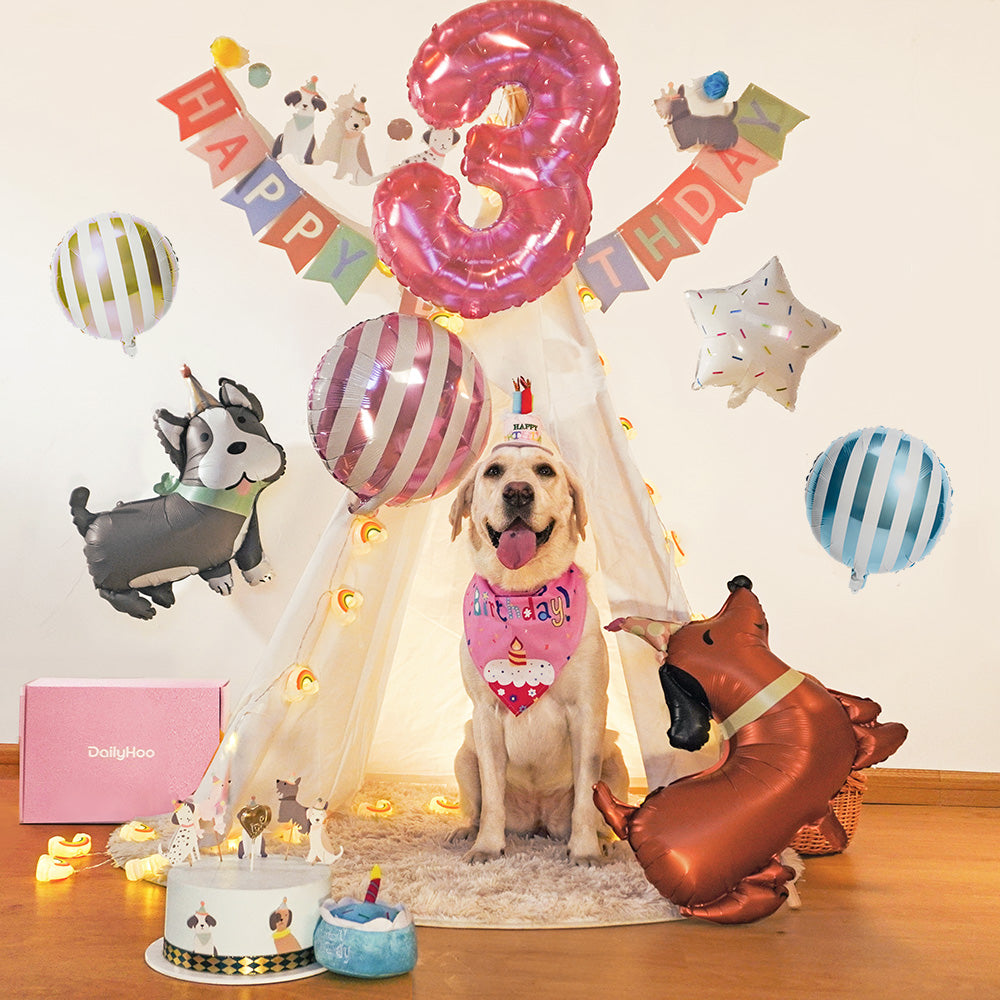 Doggo’s Birthday Paw-ty Box