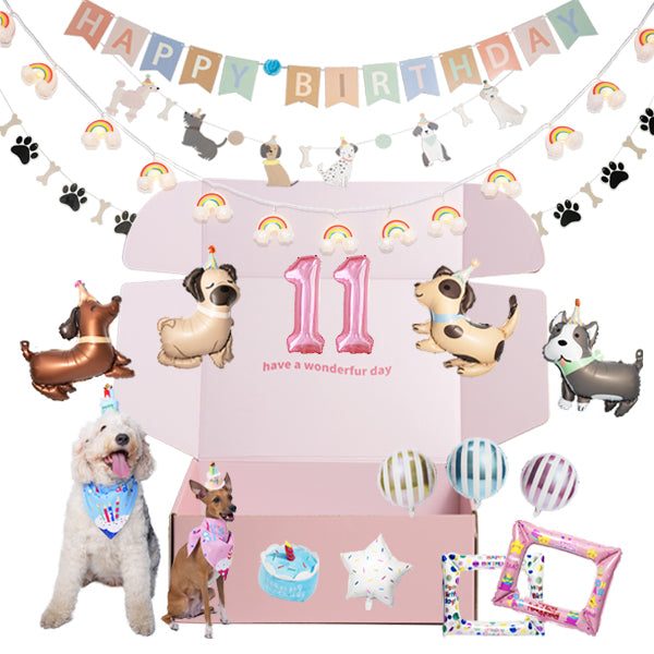 dailyhoo birthday - celebrate their 11-year-old birthday