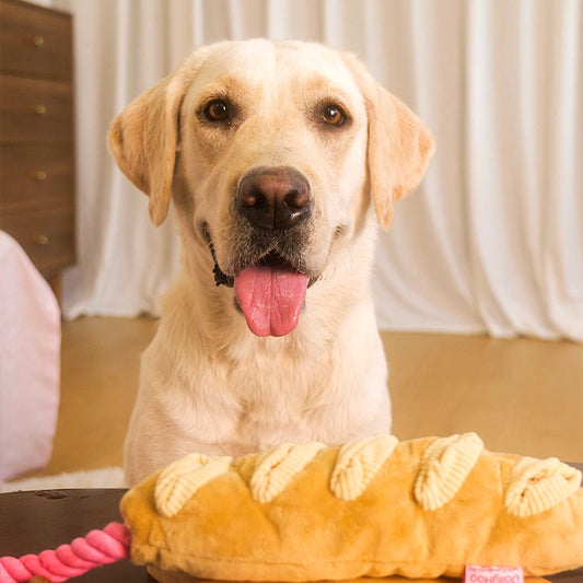 Baguette Plush Dog Toy – Chew, Crinkle & Rope Interactive Toy