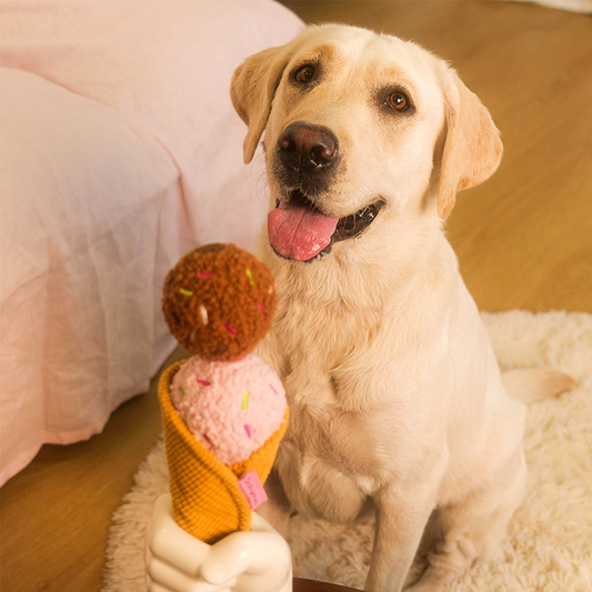 Ice Cream Plush Dog Toy – Chew, Squeaky & Treat Hiding Interactive Toy