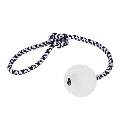 Glow Ball Dog Toy with Rope – Tug & Training Night Play Toy