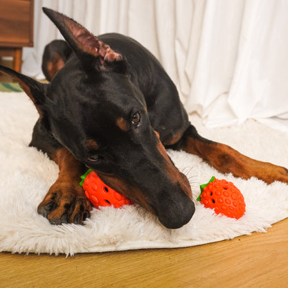 Strawberry Puzzle Dog Toy – Treat Dispensing & Teething Chew