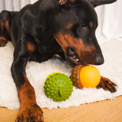 Acorn Puzzle Dog Toy – Treat Dispensing & Teething Chew Toy
