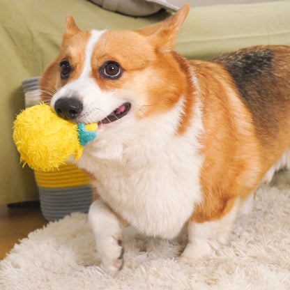 Squeaky Plush Ball Dog Toy – Soft Chew Toy for Indoor Play
