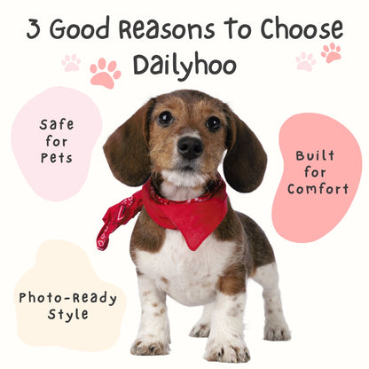 Doggo’s Birthday Paw-ty Box