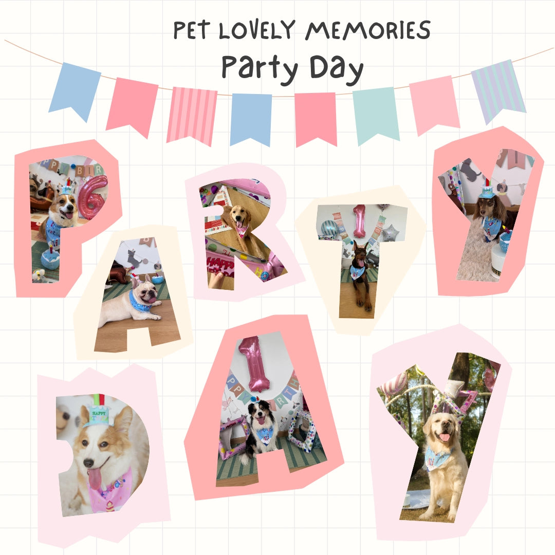 Doggo Birthday Celebration Box