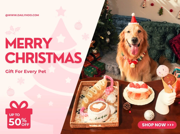 custom-slideshow-image-mobile-block_CkEPd3