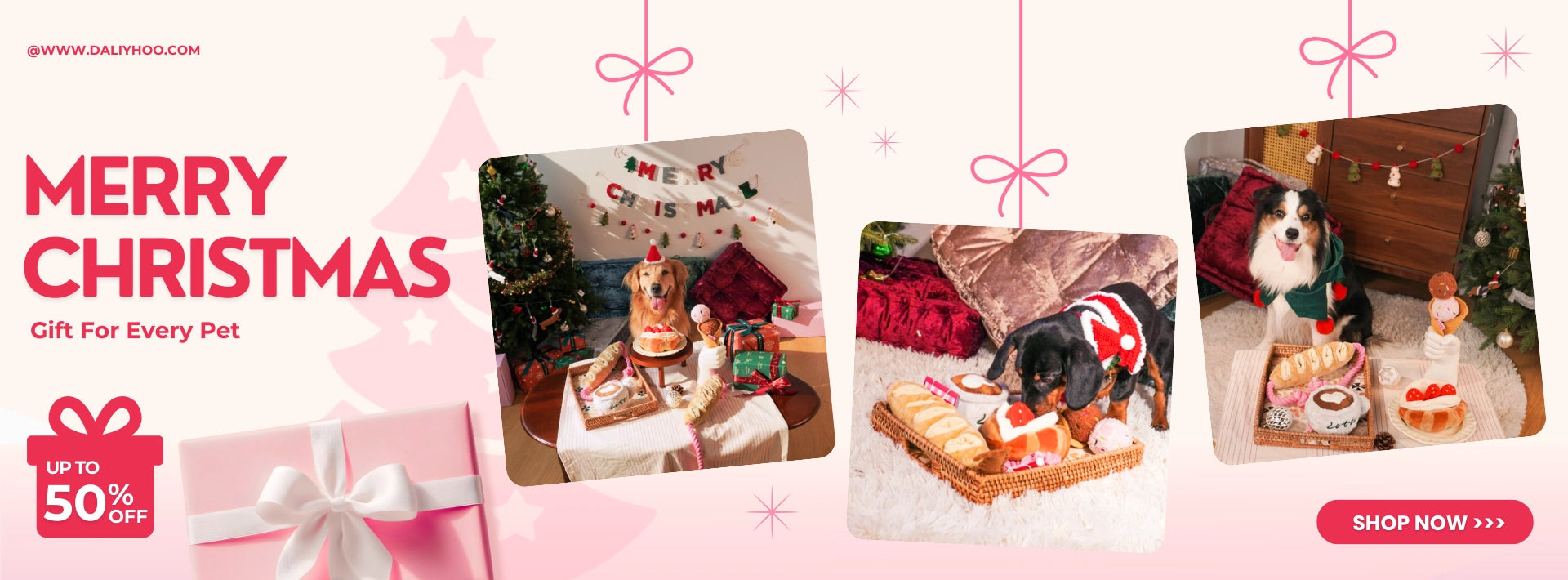 custom-slideshow-image-desktop-block_N7eWeW