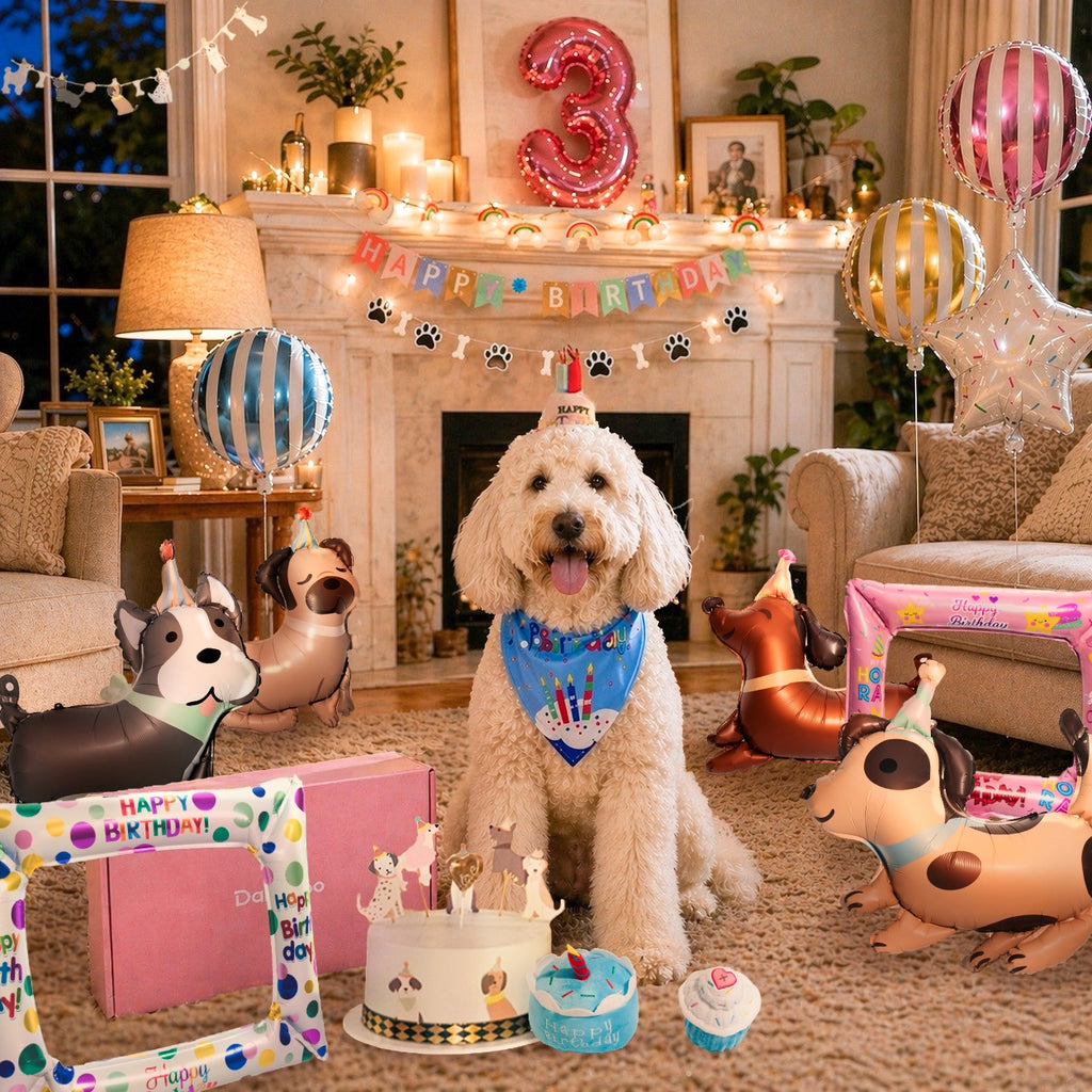 Doggo’s Birthday Paw-ty Box