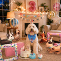 Doggo’s Birthday Paw-ty Box