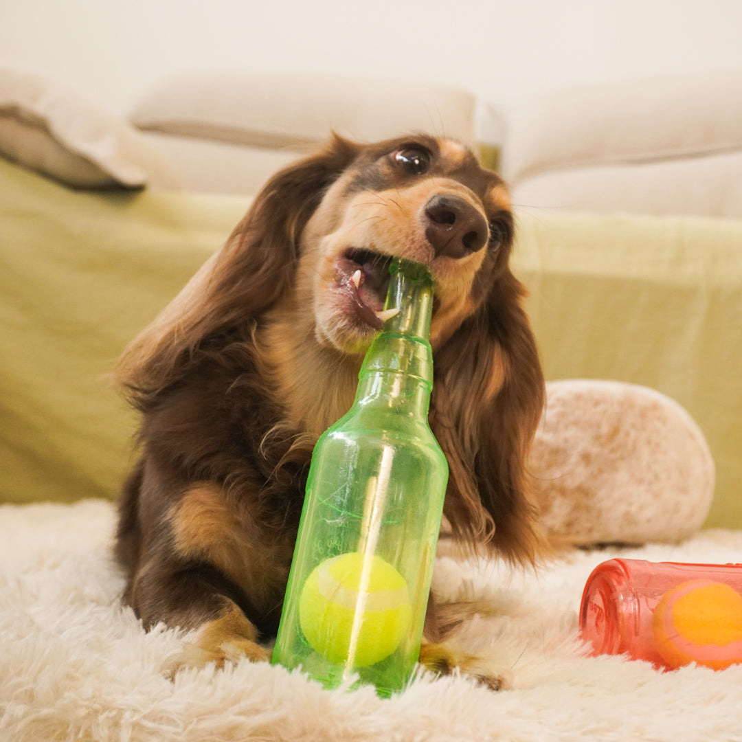 a dog is biting dailyhoo Floating Fetch Toy